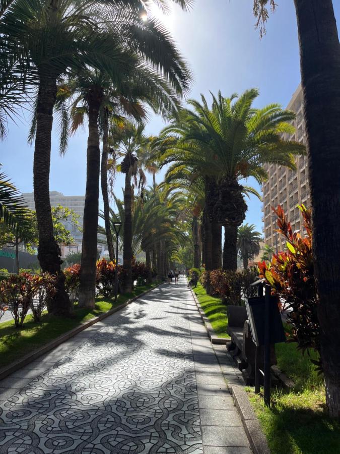 Estudio-Szl Puerto de la Cruz  Zewnętrze zdjęcie